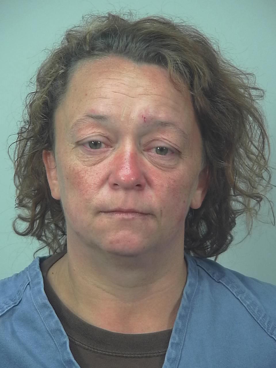 Duck feeder beaten, robbed by park patrons; 2 arrested, Madison police say